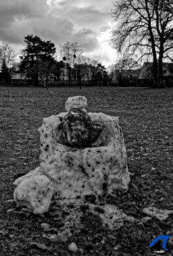 Winter is coming....