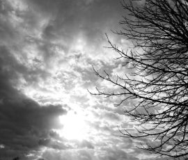 DSC_0168_DxO