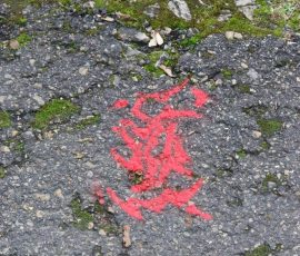 DSC_0170_DxO
