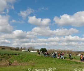 DSC_0238_DxO