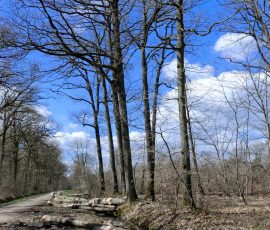 DSC_0261_DxO