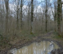 DSC_0279_DxO