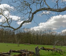 DSC_0291_DxO