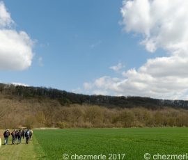 DSC_0308_DxO