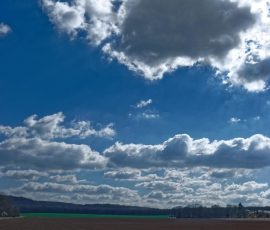 DSC_0314_DxO