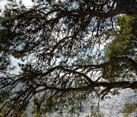 DSC_1400_DxO