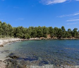 DSC_1401_DxO