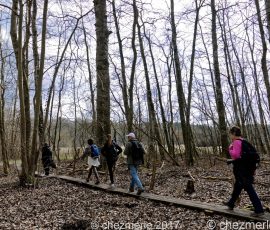 DSC_0188JPG