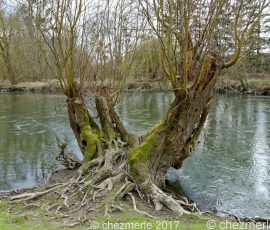 DSC_0204JPG